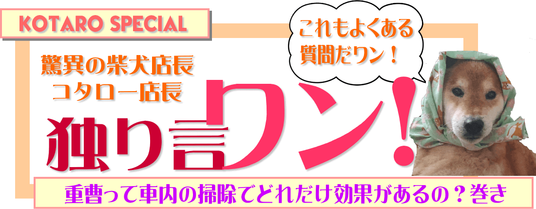 重曹って嘔吐や車の汚れに効くの 教えてコタロー店長 車内を水洗いクリーニング ソファも丸洗いでキレイに スーパーママ