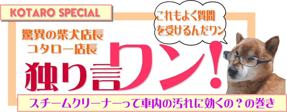 スチームクリーナーって車内の掃除に効くの 教えてコタロー店長 車内を水洗いクリーニング ソファも丸洗い スーパーママ