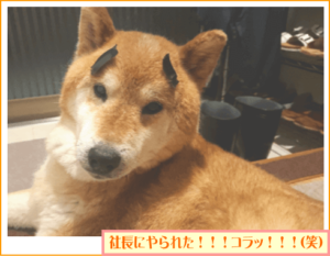 おい!社長!他人の顔で遊ぶな!(笑)
