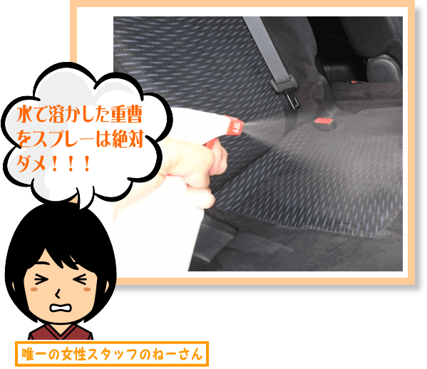 重曹を溶かしてシュシュッとするのはダメ！
