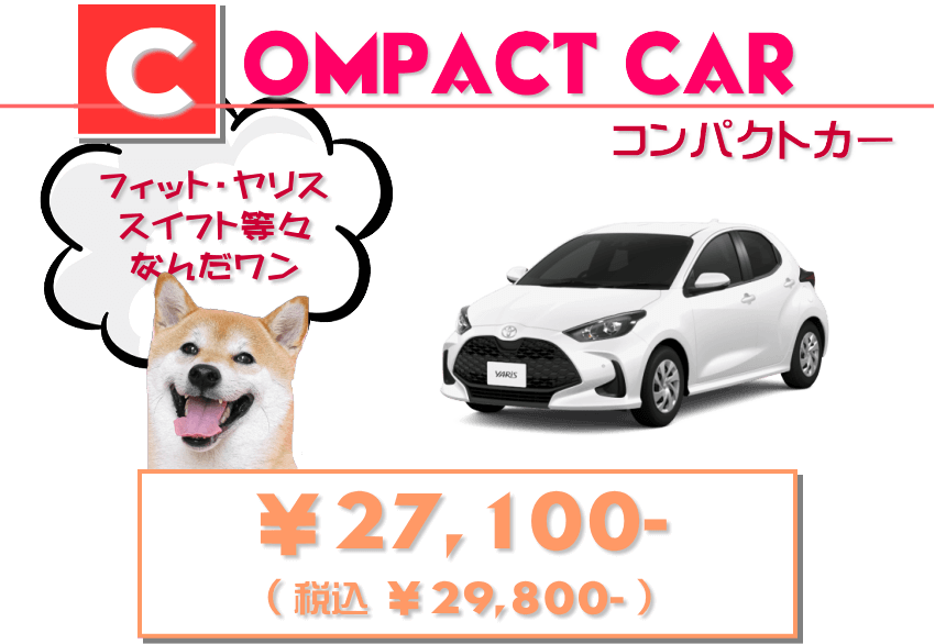 コンパクトカー 車内水洗い洗浄 価格￥29,800-