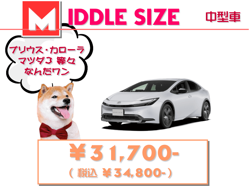 ミドルクラス 車内水洗い洗浄 ￥29,800-