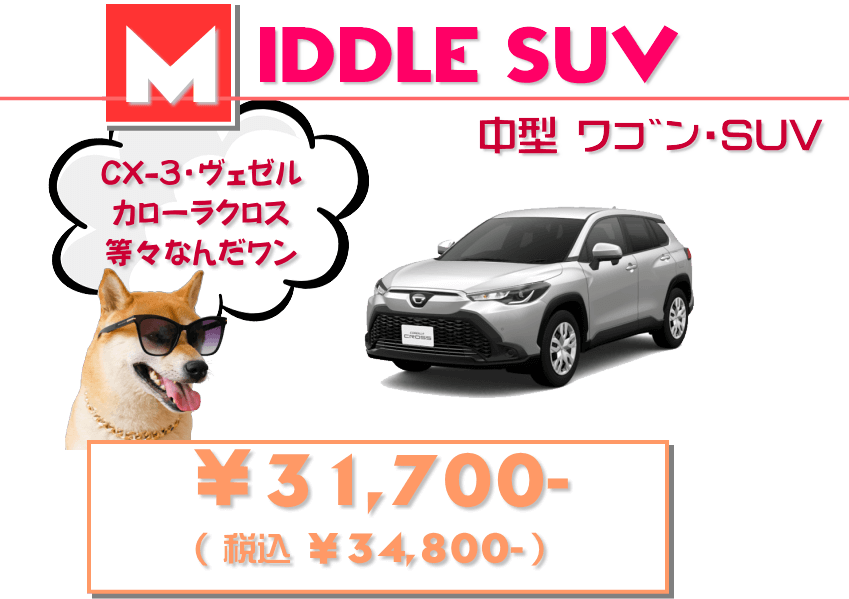 ミドルクラス SUV 車内水洗い洗浄 ￥34,800ｰ